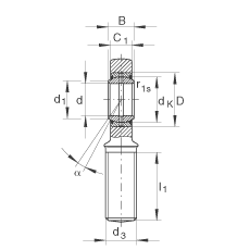 桿端軸承 GAR70-DO-2RS, 根據(jù) DIN ISO 12 240-4 標(biāo)準(zhǔn)，帶右旋外螺紋，需維護(hù)，兩側(cè)唇密封